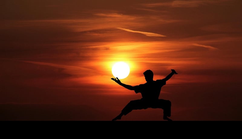 Tai Chi Martial Arts Silhouette